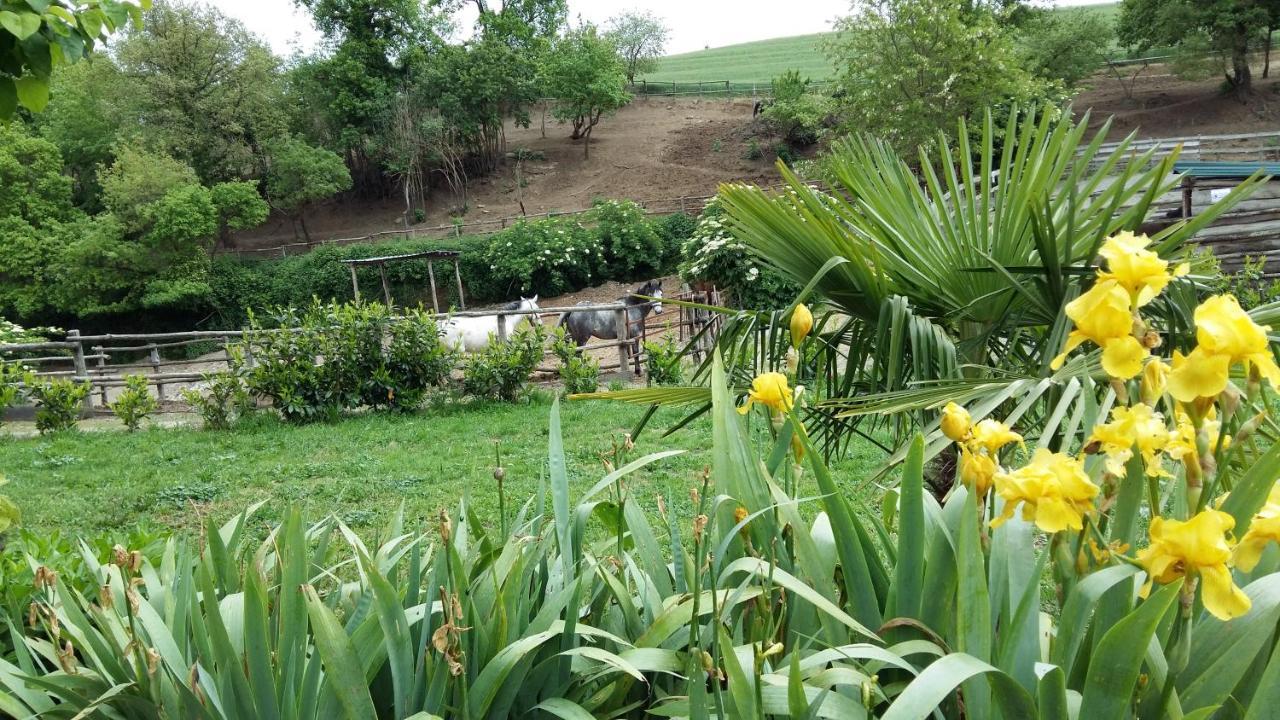 San Filippo Villa Acquapendente Eksteriør bilde