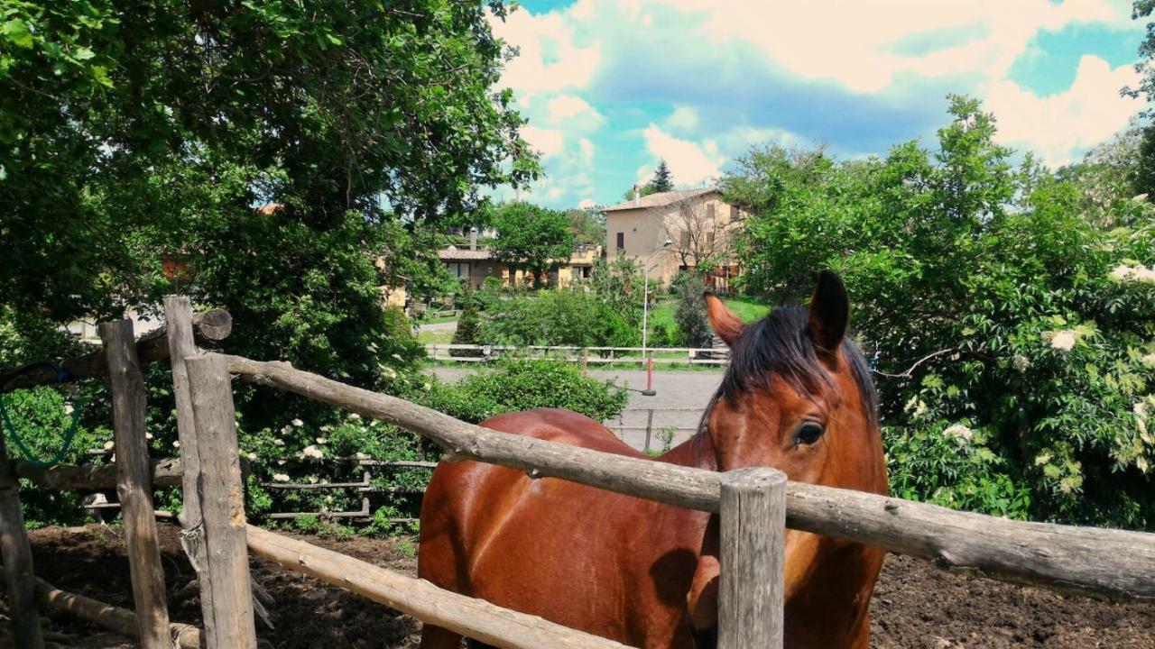 San Filippo Villa Acquapendente Eksteriør bilde