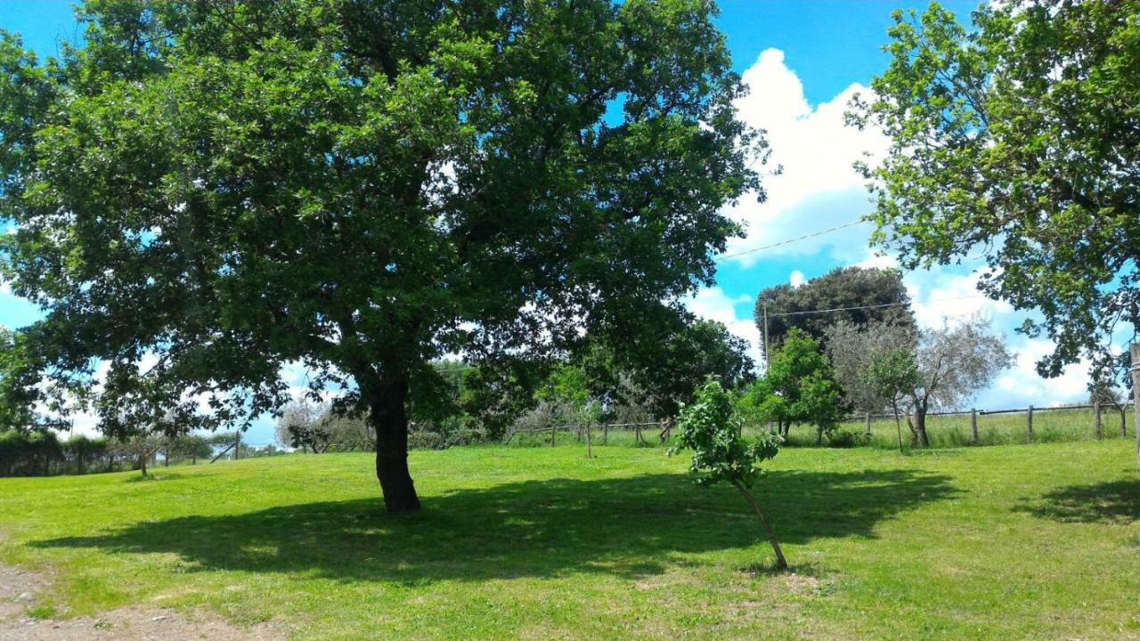 San Filippo Villa Acquapendente Eksteriør bilde